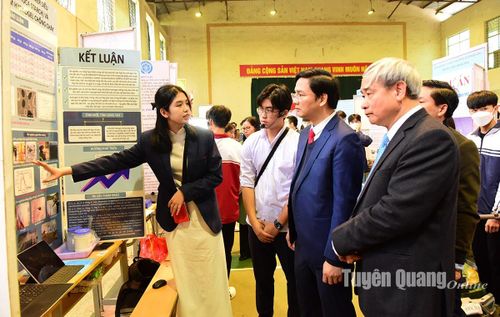 Sở Giáo dục và Đào tạo tổ chức cuộc thi Khoa học kỹ thuật dành cho học sinh trung học cấp tỉnh nhằm khuyến khích phong trào sáng tạo trong học sinh toàn tỉnh.