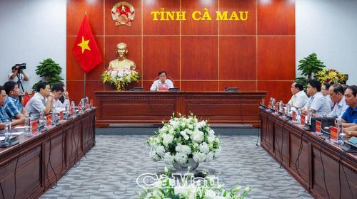 Tại điểm cầu tỉnh Cà Mau, Ủy viên dự khuyết BCH Trung ương Đảng, Phó bí thư Tỉnh ủy, Chủ tịch UBND tỉnh Huỳnh Quốc Việt chủ trì hội nghị.