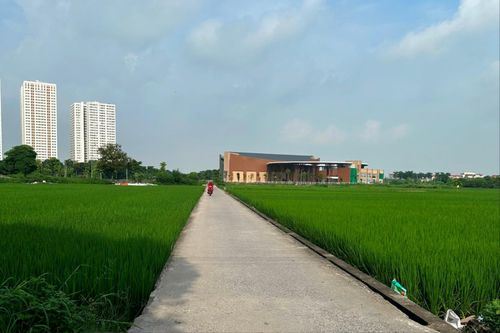 Diện mạo nông thôn mới nâng cao ở xã Mai Lâm (huyện Đông Anh).