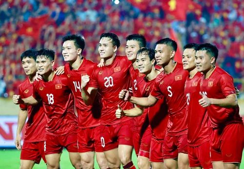 Tuyển Việt Nam được dự đoán sẽ đẩy mạnh quá trình nhập tịch cầu thủ trong năm tới.