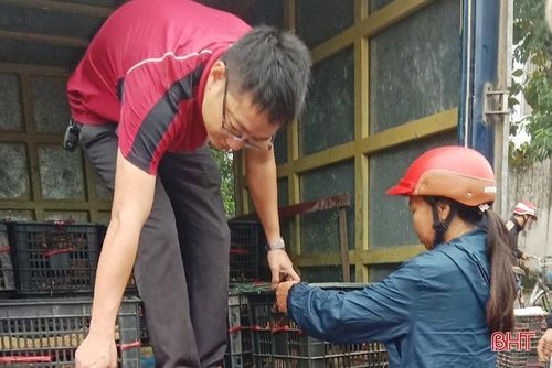 Các đơn vị cung ứng giống vận chuyển gà hỗ trợ sinh kế về cho người nghèo Lộc Hà.