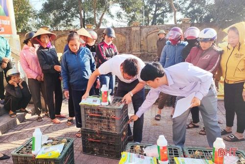 Hỗ trợ gà, thức ăn, chế phẩm sinh học... cho hộ nghèo, cận nghèo ở xã Thạch Mỹ.