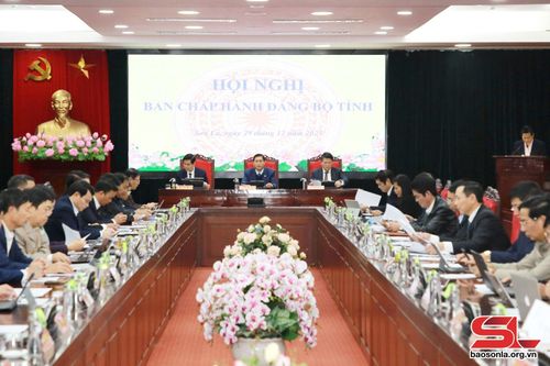 Hội nghị Ban Chấp hành Đảng bộ tỉnh.