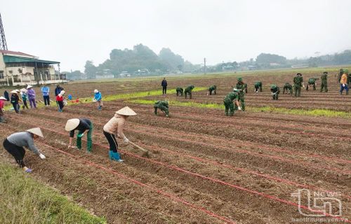 Các địa phương tích cực xây dựng nông thôn mới.