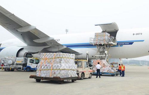 Hoạt động xếp dỡ hàng hóa tại Cảng hàng không quốc tế Đà Nẵng.