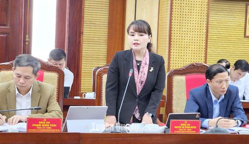 Đồng chí Bí thư Huyện ủy Sơn Dương Nguyễn Thị Thanh Huyền phát biểu thảo luận tại hội nghị.