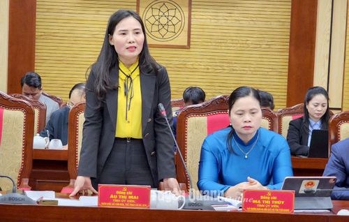 Đồng chí Giám đốc Sở Văn hóa, Thể thao và Du lịch Âu Thị Mai phát biểu thảo luận tại hội nghị.