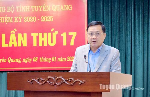 Phó Chủ tịch UBND tỉnh Nguyễn Thế Giang trình bày chỉ thị tại hội nghị.