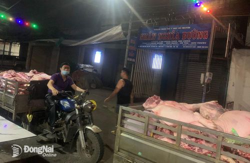 Sau khi kiểm tra có nguồn gốc rõ ràng, các chuyến xe vận chuyển chở heo về tiêu thụ tại chợ Tam Hòa (TP.Biên Hòa)