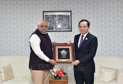Phó Thủ tướng Chính phủ Trần Lưu Quang tiếp ông Bhupendra Patel, Thủ hiến bang Gujarat, Ấn Độ. Ảnh: TTXVN phát