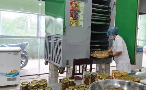 Quy trình sản xuất tại Công ty TNHH Nghiên cứu và phát triển Huefarm 