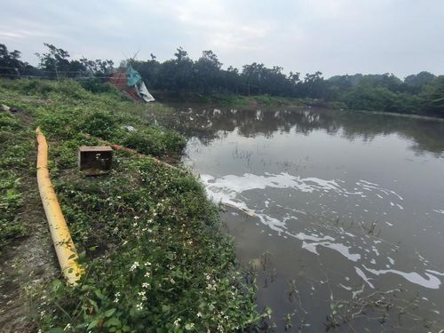  Ao cá cạnh khu đất đổ thải cũng được dùng để xả nước thải trái phép.