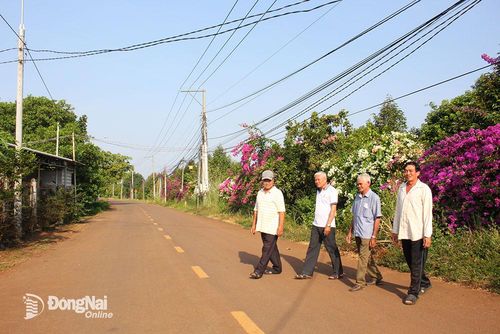 Một tuyến đường khang trang, sạch đẹp ở ấp Đồi Rìu, xã Hàng Gòn (TP.Long Khánh). Ảnh: Đ.Phú