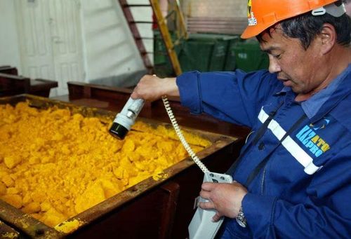 Một công nhân của Kazatomprom kiểm tra mức độ phóng xạ của uranium oxide tại mỏ uranium East Mynkuduk PV-19 ở miền Nam Kazakhstan. Ảnh: Reuters
