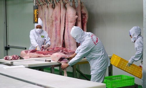 Hà Nội tăng cường kiểm tra các cơ sở giết mổ gia súc. Ảnh: Nam Anh.