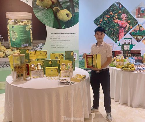Nguyễn Đức Độ trưng bày sản phẩm tại Hội nghị xúc tiến đầu tư tỉnh Vĩnh Phúc.