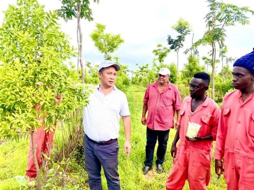 TS. Thoại hướng dẫn kỹ thuật chăm sóc đàn hương cho người dân bản địa.