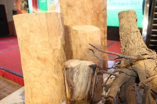 Gỗ cây đàn hương trưởng thành được tính bằng kg.