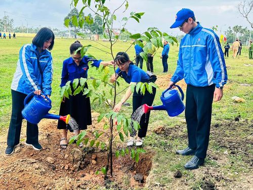  Đoàn viên thanh niên Quảng Ngãi trồng cây. Ảnh: TĐQN 