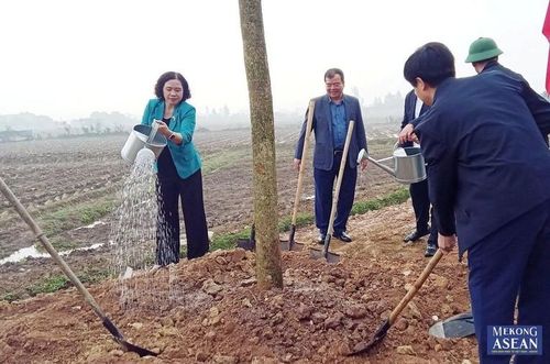 Lãnh đạo HĐND, UBND tỉnh Hải Dương cùng thủ trưởng các cơ quan, ban, sở, ngành, địa phương trong tỉnh tham gia trồng cây tại tuyến đường trục chính xã An Sơn, huyện Nam Sách.