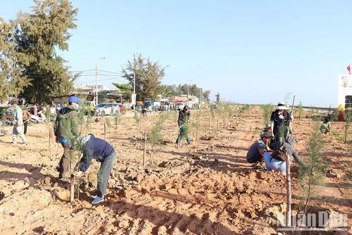 Đoàn viên công đoàn và người dân chung tay trồng cây xanh ven bãi biển xã Nghĩa An, thành phố Quảng Ngãi.