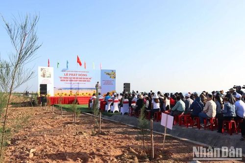 Quang cảnh lễ phát động Tết trồng cây ven bãi biển xã Nghĩa An, thành phố Quảng Ngãi.