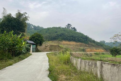  Đường giao thông nông thôn ở Chính Tiến (xã Gia Phú, huyện Bảo Thắng) được xây dựng kiên cố nhờ sự đóng góp không nhỏ của gia đình các giáo dân. 