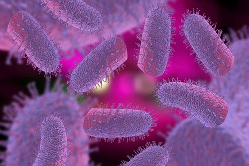 Hình ảnh virus gây bệnh dại. Ảnh: Verywellhealth. 