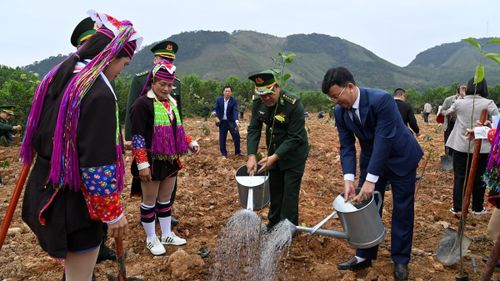 Năm 2024, Bộ Chỉ huy BĐBP Quảng Ninh tổ chức lễ phát động "Tết trồng cây đời đời nhớ ơn Bác Hồ" tại Đồn Biên phòng Quảng Đức. Sau lễ phát động, các đại biểu, chiến sĩ, cán bộ, nhân dân, đoàn viên thanh niên trên địa bàn đã tổ chức trồng 300 đến 400 cây ăn quả, cây bóng mát. Ảnh: Xuân Hùng