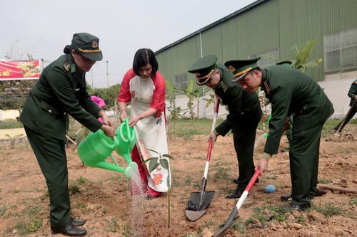 Các loại cây trồng trong khuôn viên đơn vị bao gồm cây bóng mát, cây cảnh, cây ăn quả, cây hoa… Ảnh: Chiến Khu