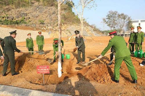 Ban Giám đốc Công an tỉnh trồng cây lát tại khuôn viên.