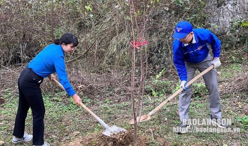 Thanh niên huyện Hữu Lũng trồng cây tại xã Hữu Liên