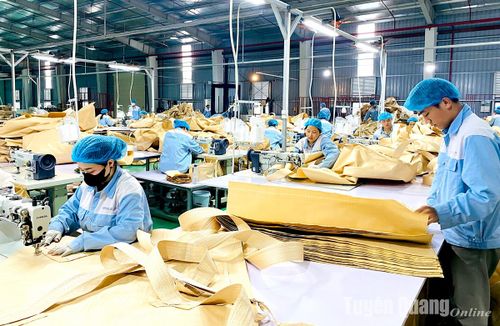 Sản xuất bao bì xuất khẩu tại Công ty TNHH Korea Bag, Cụm công nghiệp Phúc Ứng (Sơn Dương).