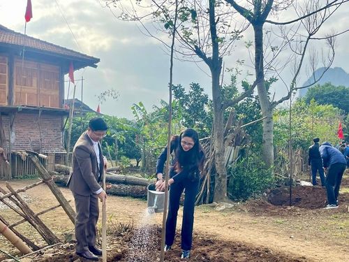  Đồng chí Dương Mai Phương, Phó Viện trưởng VKSND huyện Bắc Sơn tham gia trồng cây.