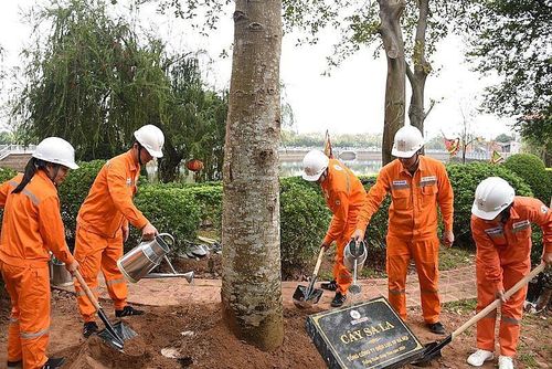 Công nhân thuộc Tổng công ty Điện lực Hà Nội tham gia trồng cây