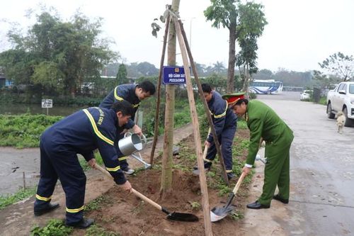 BCh Đội Cảnh sát PCCC và CNCH, CAQ Hoàng Mai hưởng ứng lễ phát động “Tết trồng cây đời đời nhớ ơn Bác Hồ” 