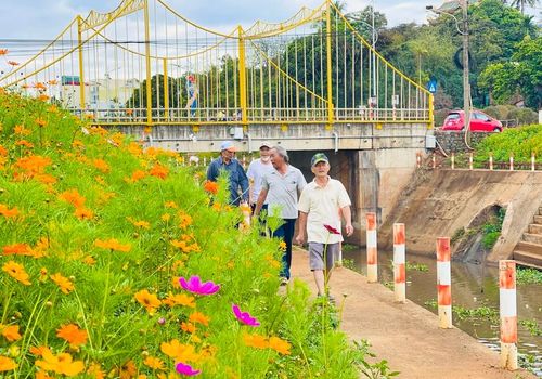 Các loại hoa đua nhau khoe sắc, trở thành điểm đến thú vị cho nhiều người. Ảnh: M.K