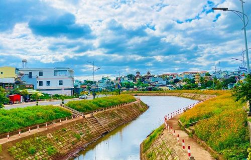 "Suối hoa" Hội Phú. Ảnh: Mai Ka