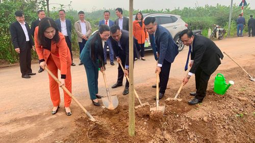 Các đại biểu tham gia trồng cây.