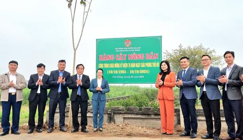 Hội Nông dân huyện Gia Lâm gắn biển "Hàng cây nông dân" tại xã Phù Đổng.