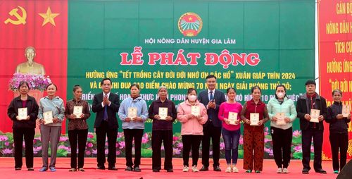 Trao thẻ bảo hiểm y tế cho các hội viên hoàn cảnh khó khăn.