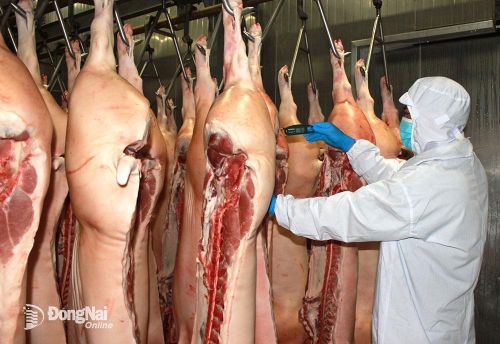 Dây chuyền giết mổ động vật tại Nhà máy D&F, huyện Trảng Bom. Ảnh: B.Nguyên