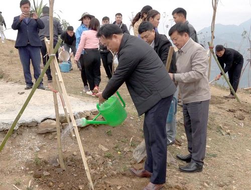 Lãnh đạo Huyện ủy Tủa Chùa tham gia trồng cây tại điểm săn mây Kể Cải.