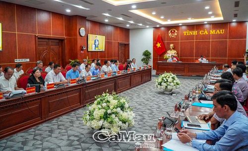 Điểm cầu Cà Mau do Phó chủ tịch UBND tỉnh Nguyễn Minh Luân và ông Nguyễn Xuân Tình, Phó giám đốc Sở LĐ-TB&XH tỉnh chủ trì.