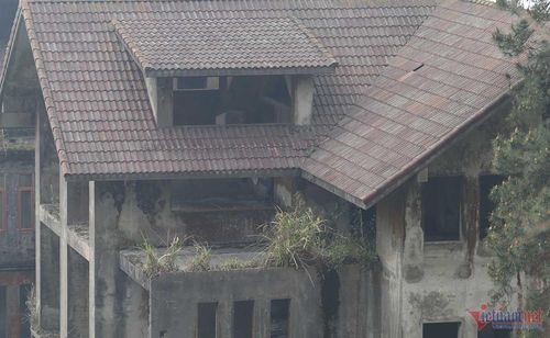  Ảnh: Nhị Tiến