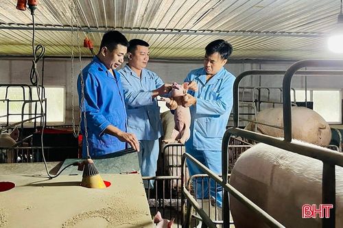  Công ty CP Chăn nuôi Mitraco Hà Tĩnh được Vietcombank Hà Tĩnh cho vay vốn duy trì, phát triển sản xuất - kinh doanh. 