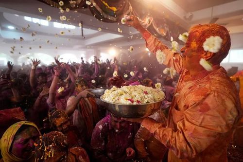 Một người ném hoa về phía những người sùng đạo trong lễ hội Holi tại Đền Jagannath ở Ahmedabad, miền tây Ấn Độ. Truyền thống tổ chức Holi khác nhau trên khắp đất nước. (Ảnh: Ajit Solanki/AP).