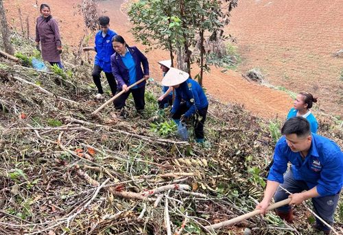 Đoàn viên thanh niên tham gia trồng cây xanh tại xóm , xã Chu Trinh (Thành phố).
