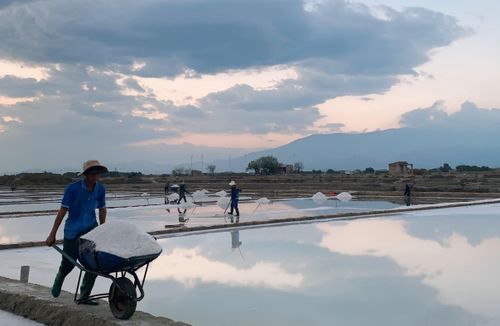 Buổi chiều tà tại đồng muối xã Tri Hải, huyện Ninh Hải
