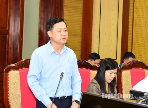 Phó Chủ tịch UBND tỉnh Nguyễn Thế Giang phát biểu thảo luận tại hội nghị.